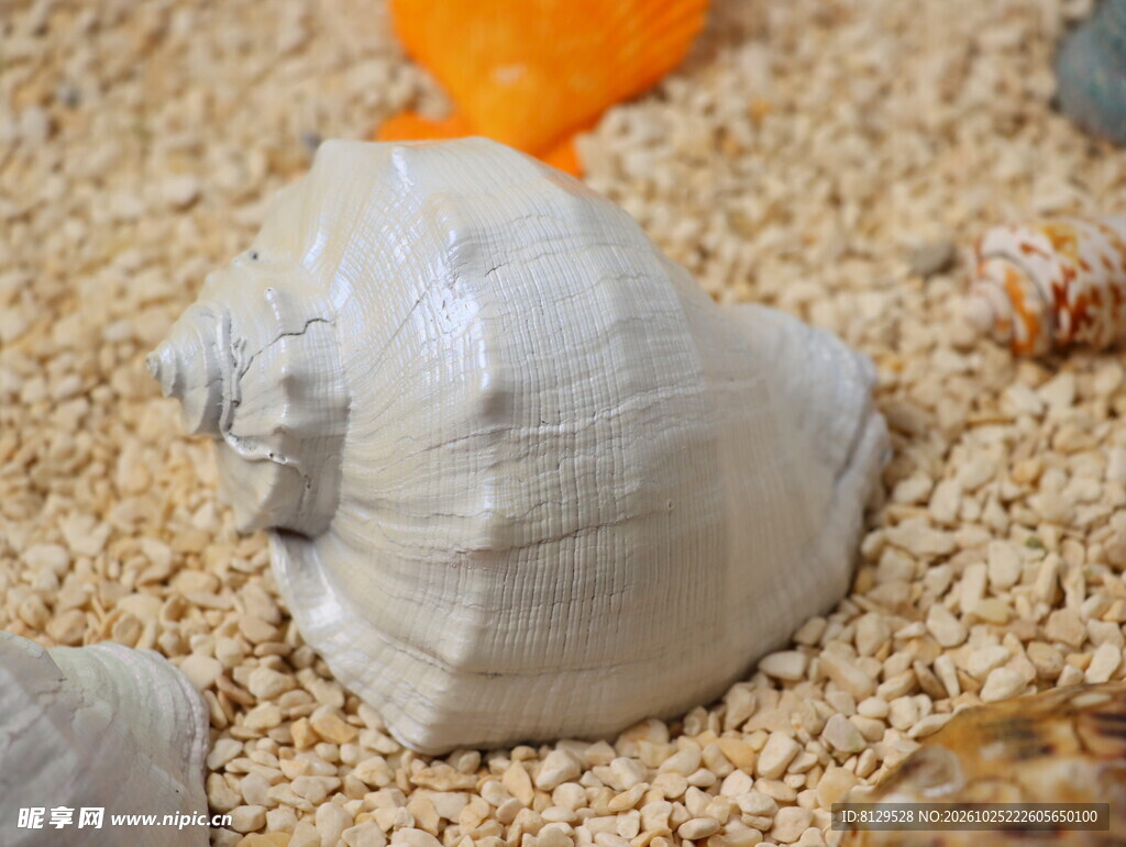 白色矿石特写