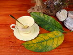 休闲茶饮桌面静物