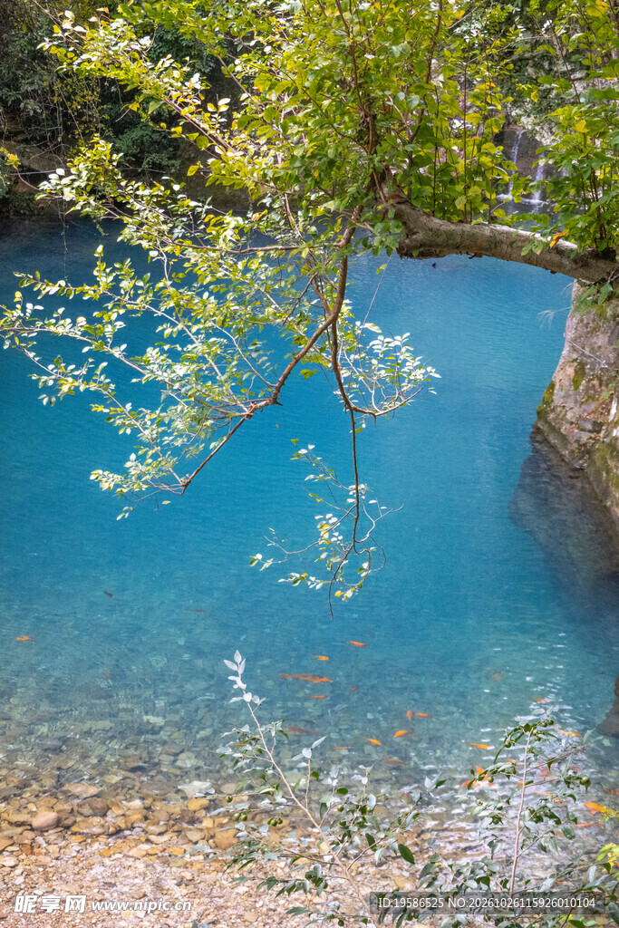 雁荡山灵峰景区 凝碧潭