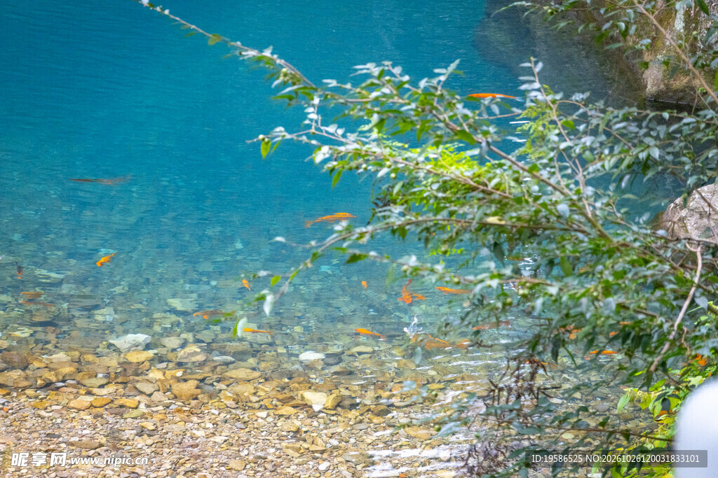 雁荡山灵峰景区 凝碧潭