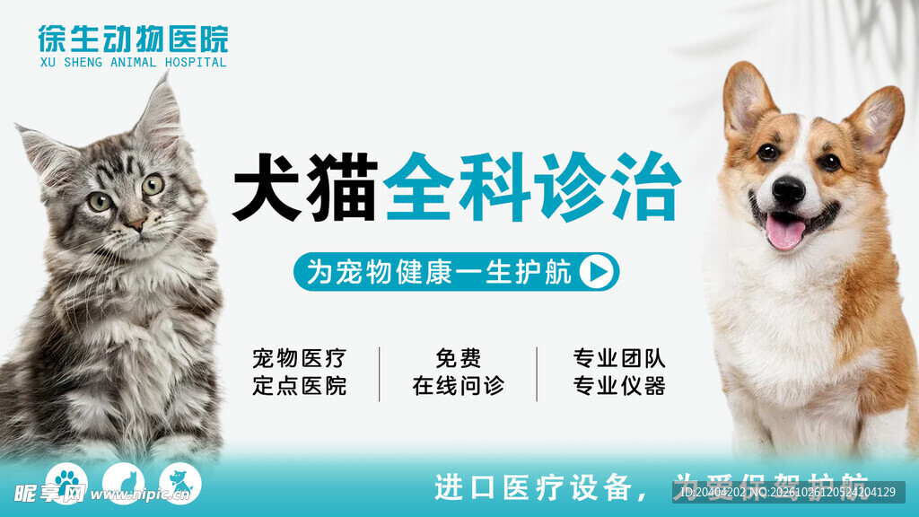 宠物医院宣传