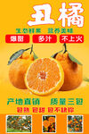 丑橘促销宣传海报