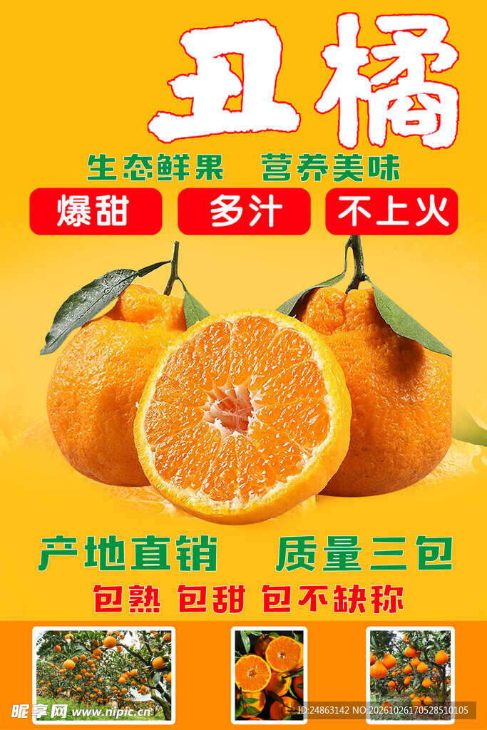 丑橘促销宣传海报