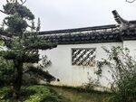 中式园林白墙小景