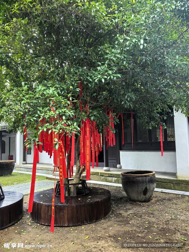 庭院许愿祈福树