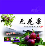 无花果