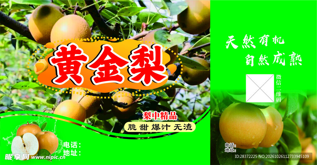 黄金梨