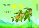 脆李