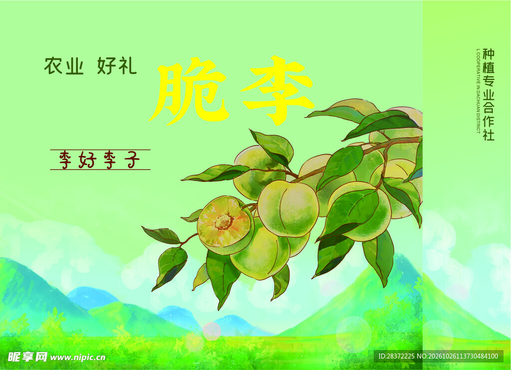 脆李