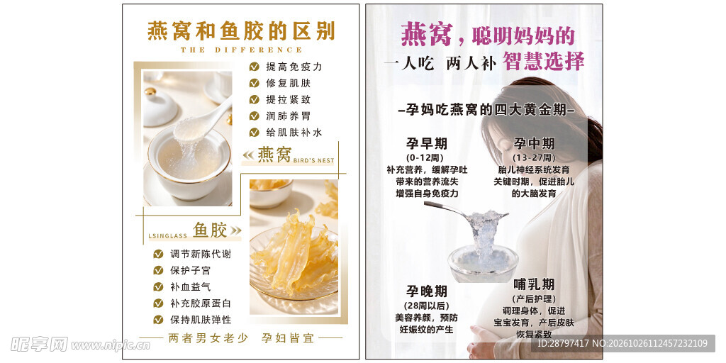 燕窝鱼胶