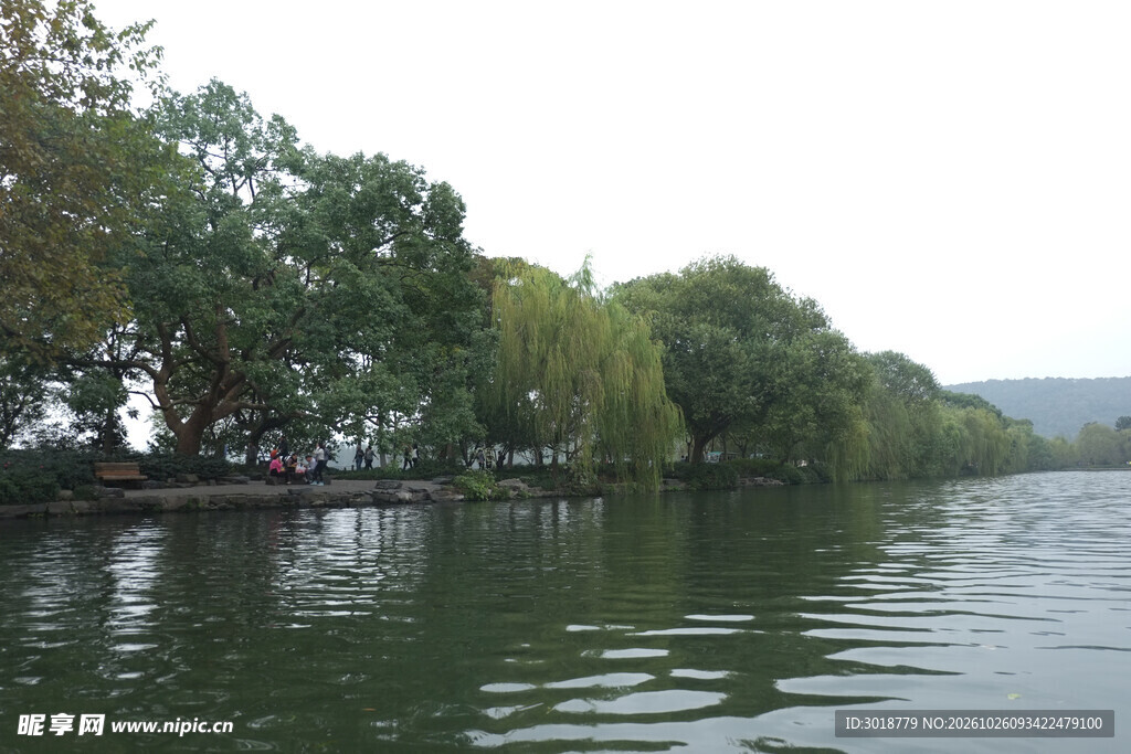 湖边绿树湖景风光