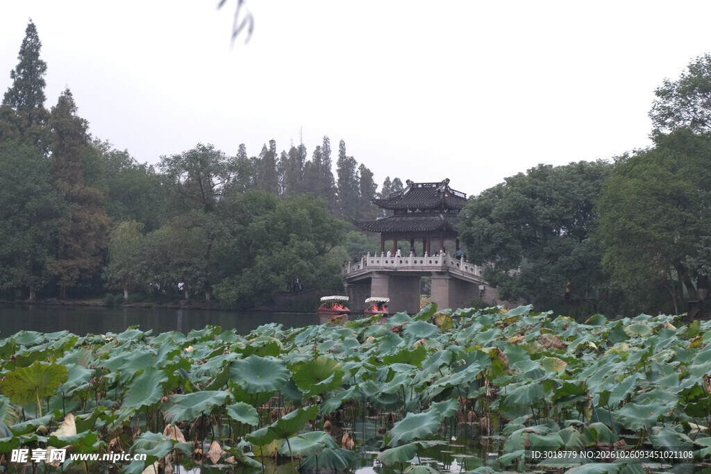 荷塘古建园林风光