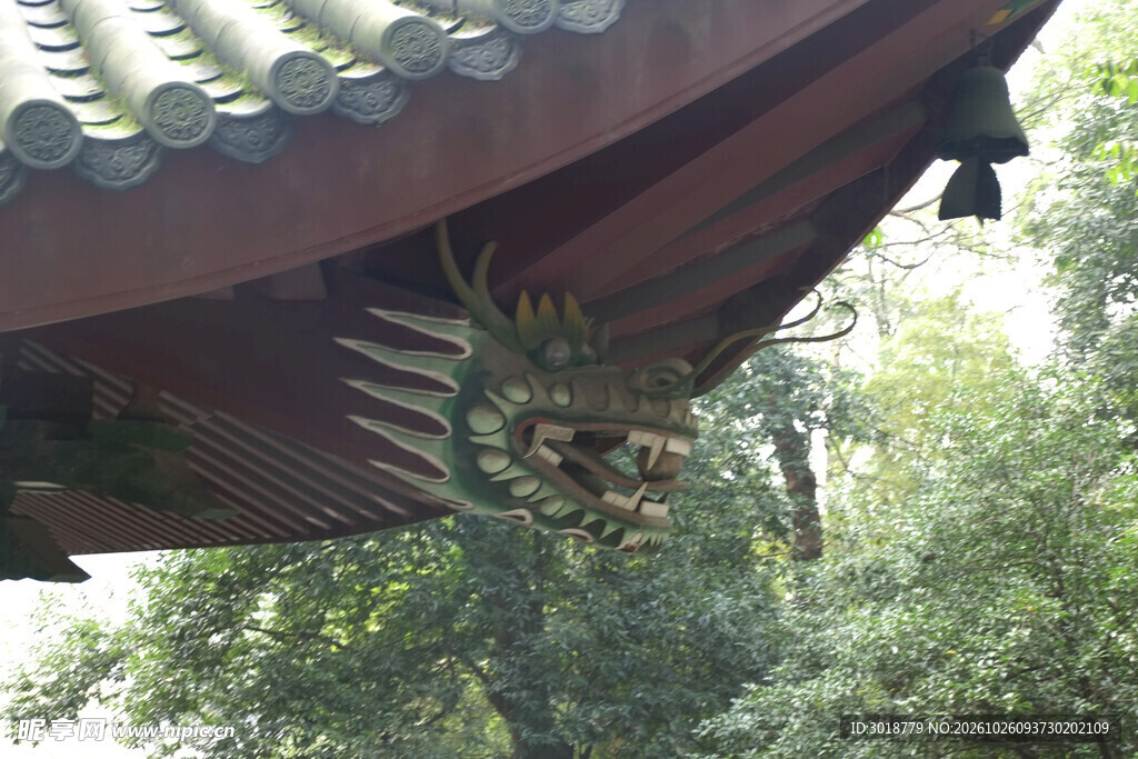 古建飞檐掩映绿树中