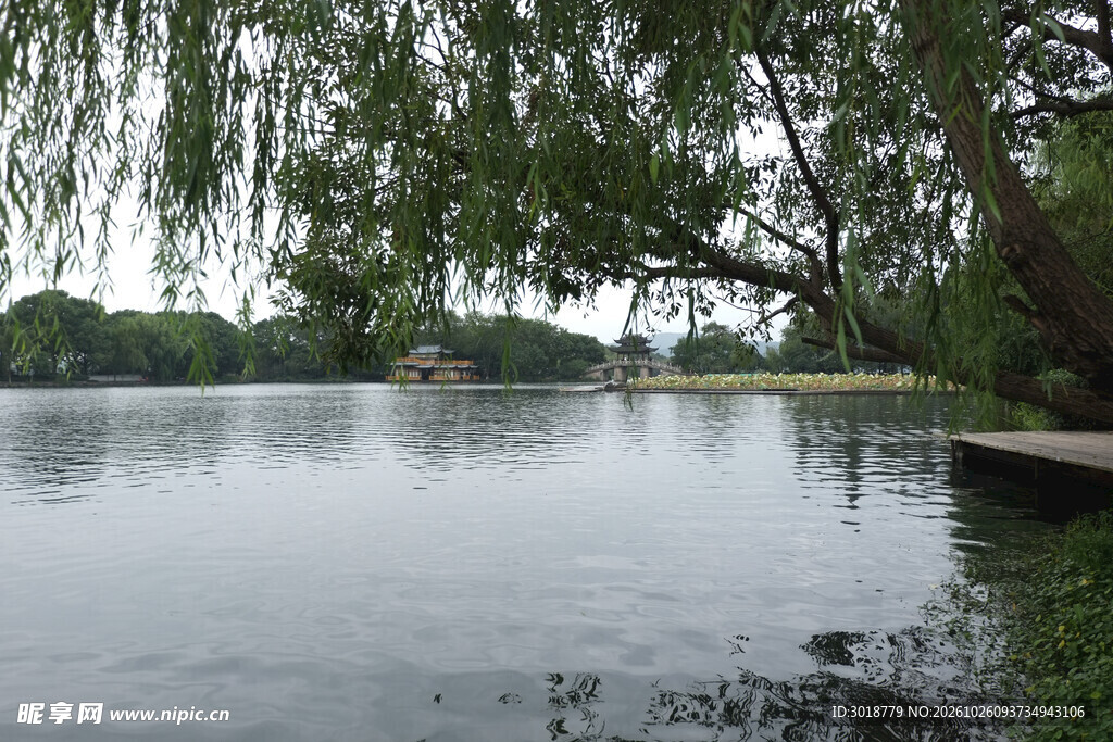 湖畔清幽自然湖景