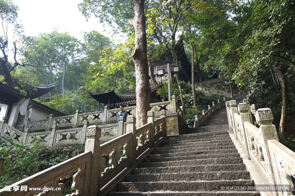 林间古建石阶步道