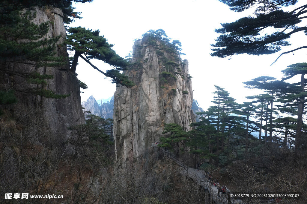 奇峰苍松自然风光
