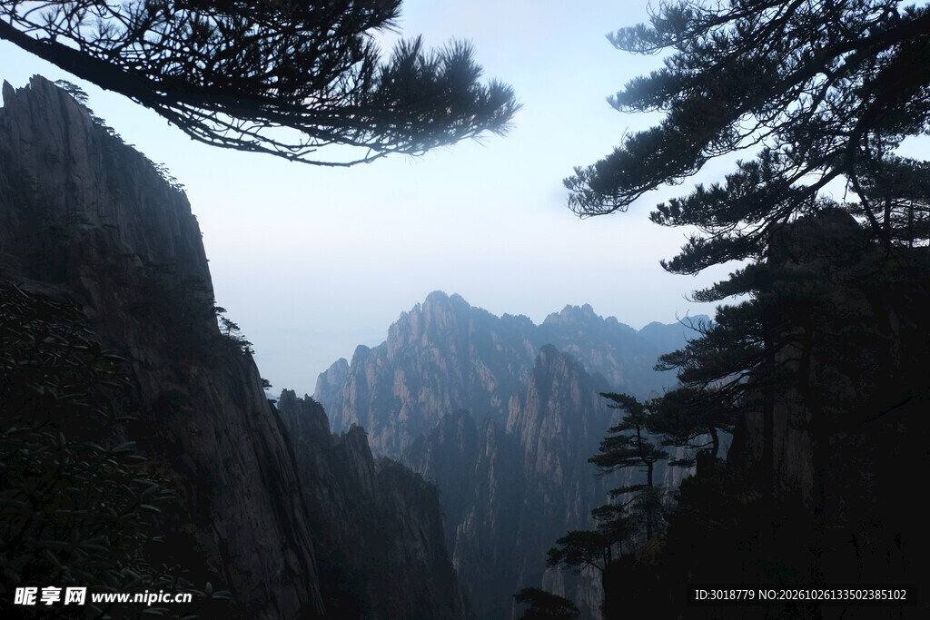 松间远眺山峦风光