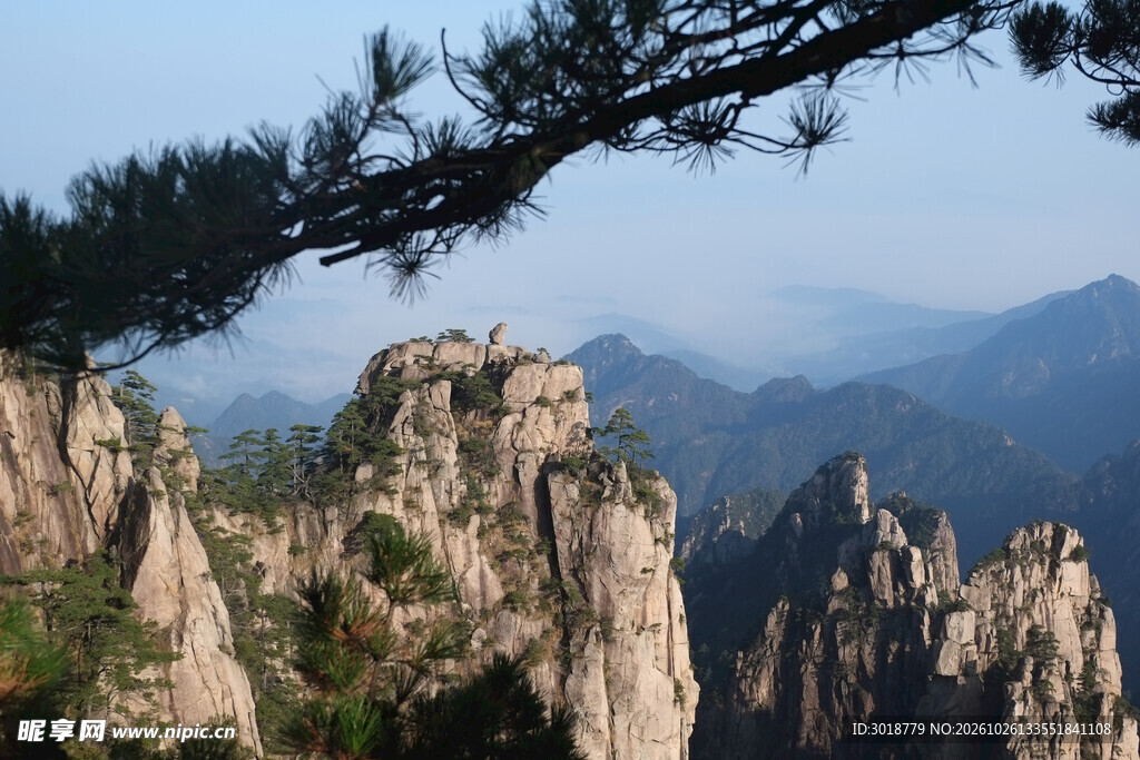 奇峰松枝山野风光