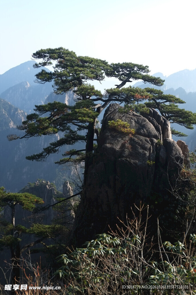黄山奇松怪石景观