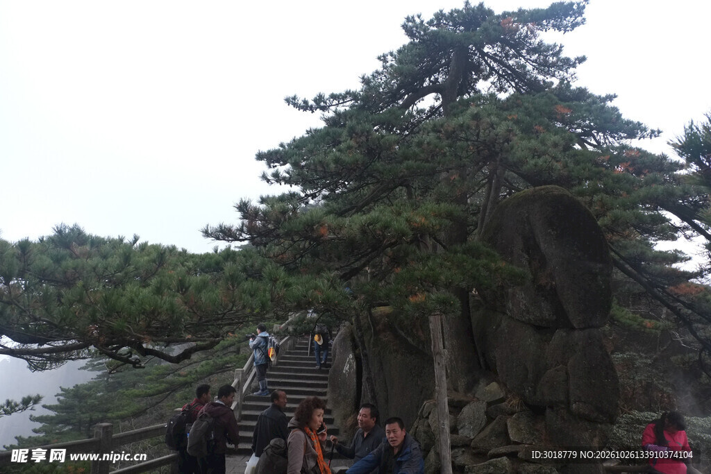 黄山迎客松游览场景