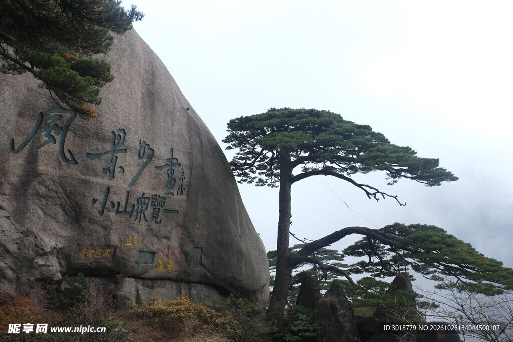 黄山迎客松风光