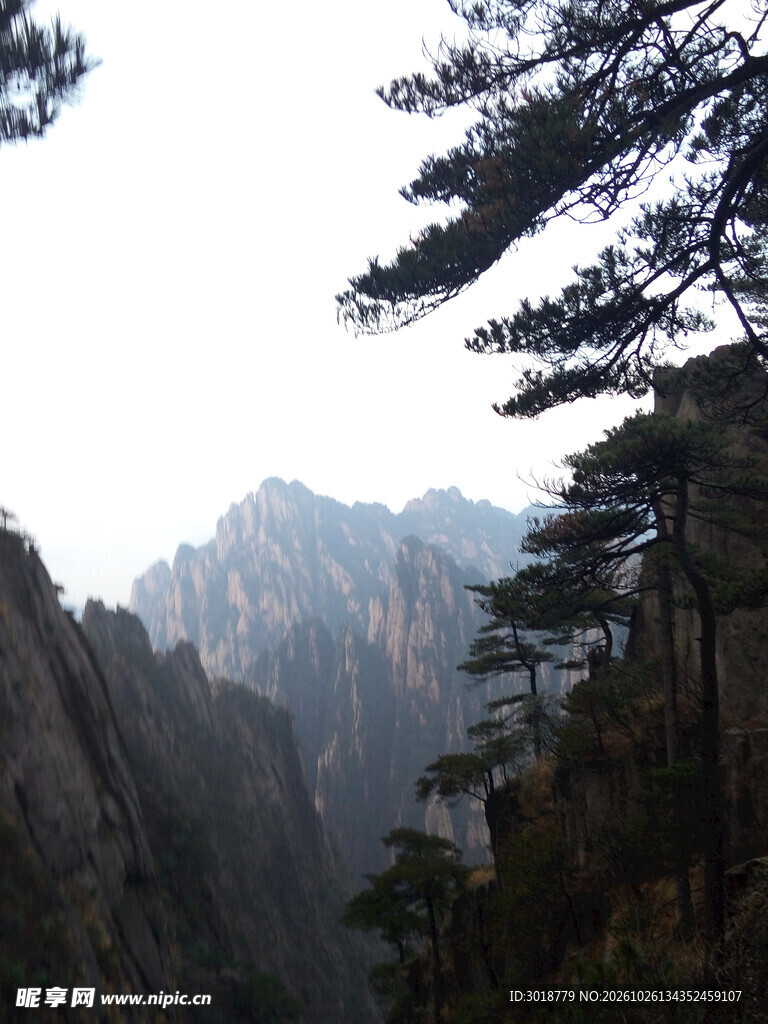 远山青松自然风光