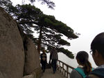 山间步道游客赏奇松
