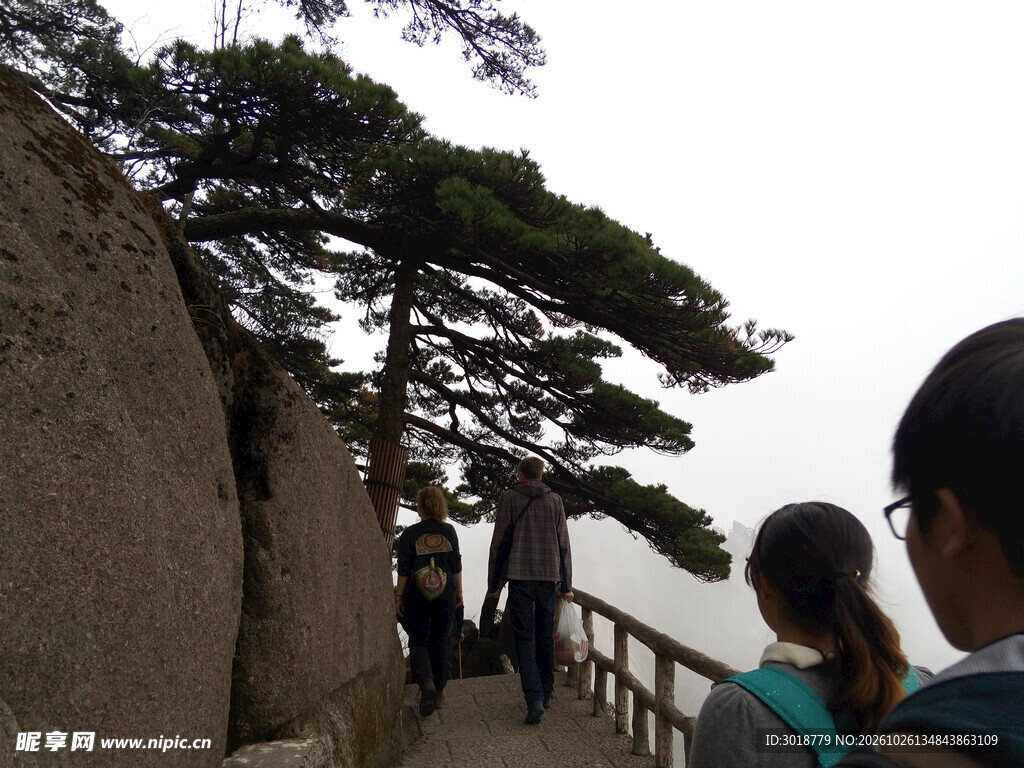 山间步道游客赏奇松