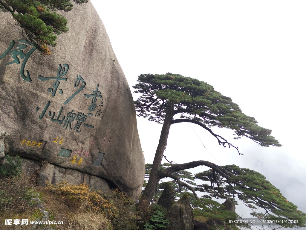 黄山迎客松胜景