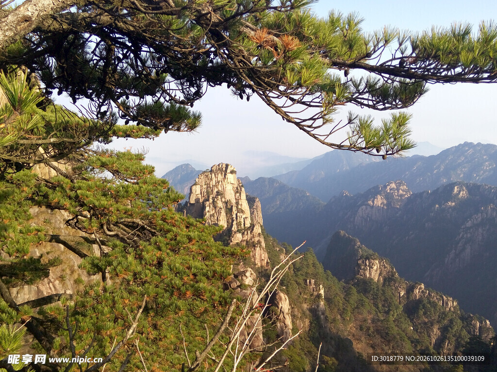 山巅青松远眺群峰
