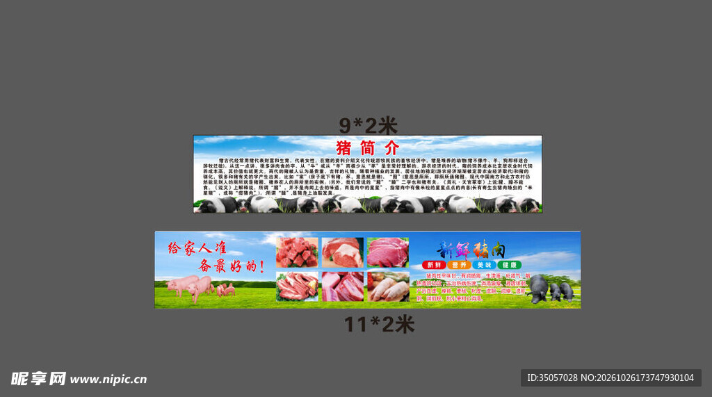 猪介绍宣传