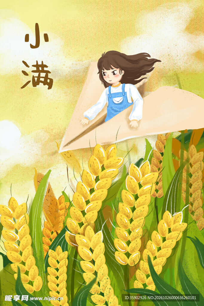 小满节气麦田插画