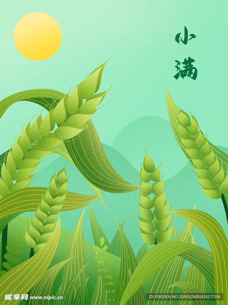 小满节气清新麦穗插画