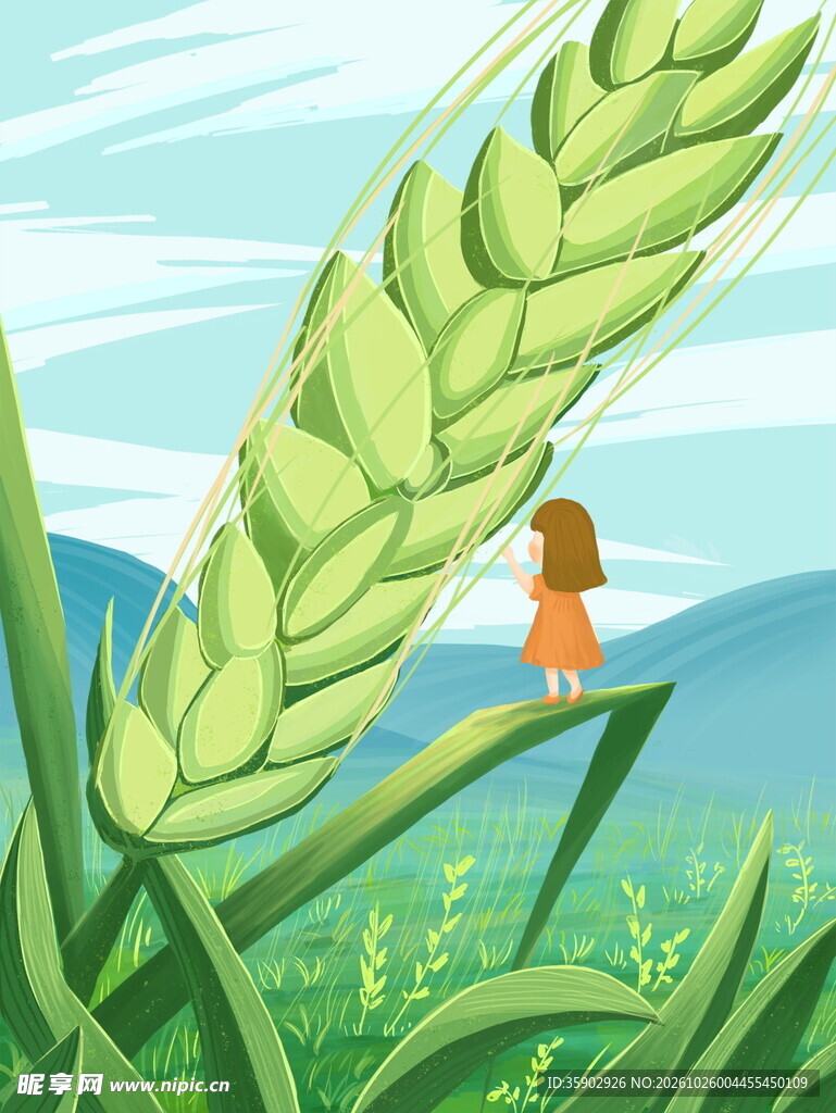 青麦穗与小女孩插画