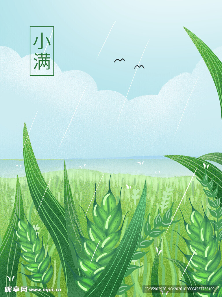 小满节气清新田野插画