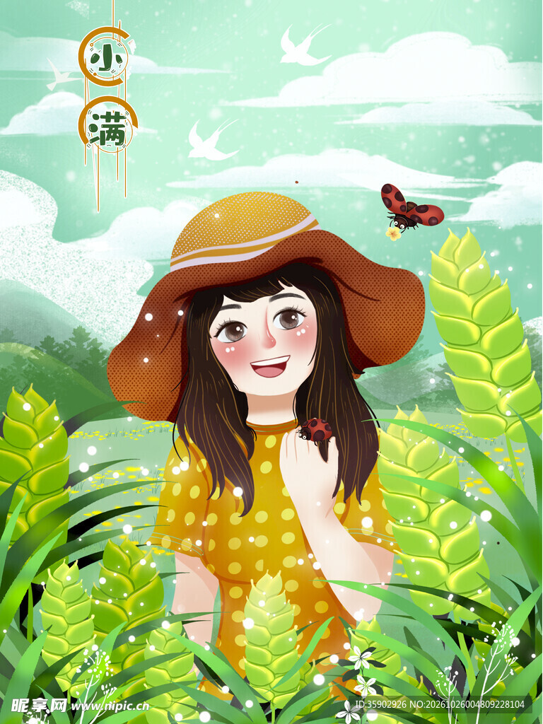 小满节气少女田野插画