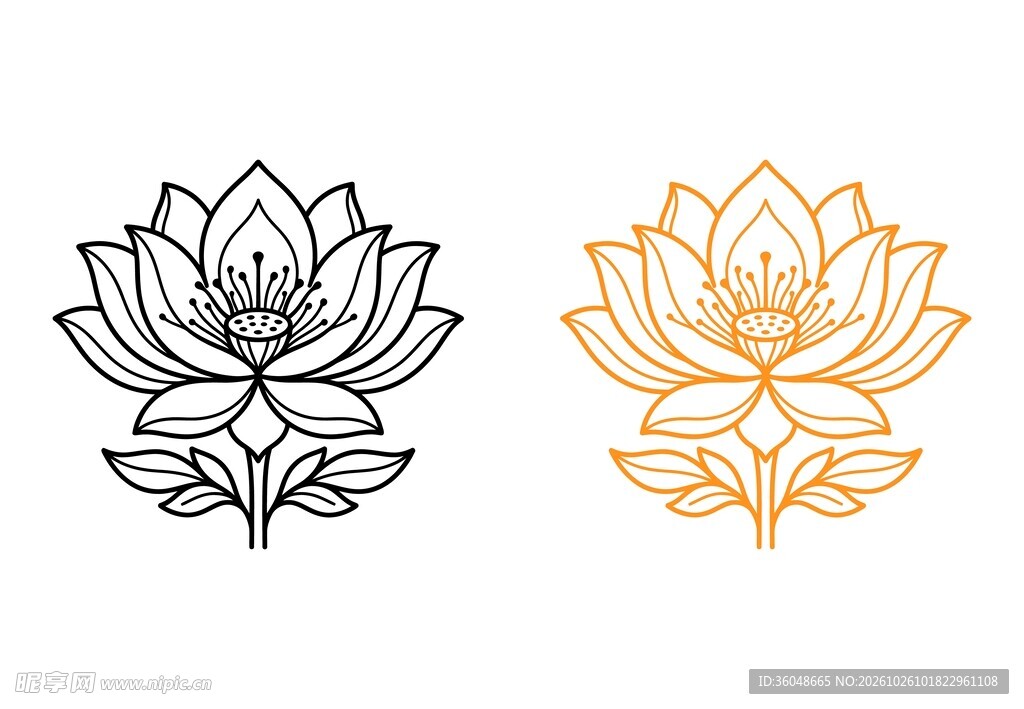 莲花图案