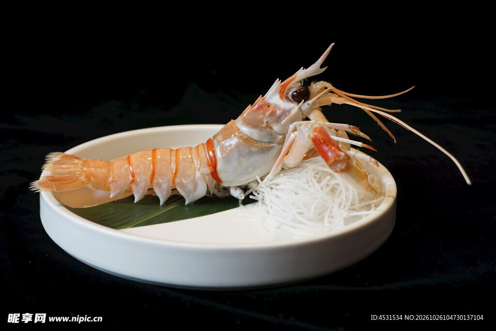 冰镇海鳌虾食材