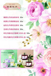 牡丹