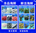 冻品鲜活海鲜分类展示