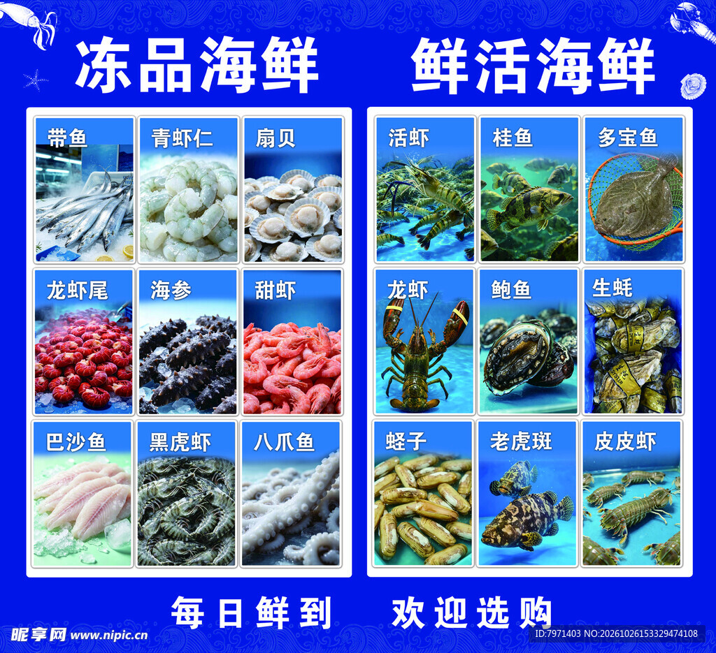 冻品鲜活海鲜分类展示
