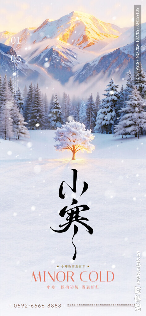 小寒节气雪景海报