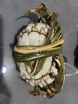 香草捆扎的活大闸蟹 螃蟹