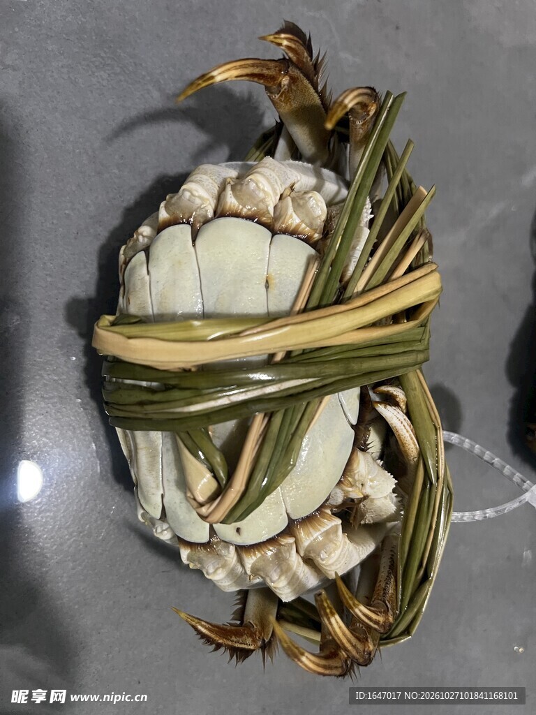 香草捆扎的活大闸蟹 螃蟹