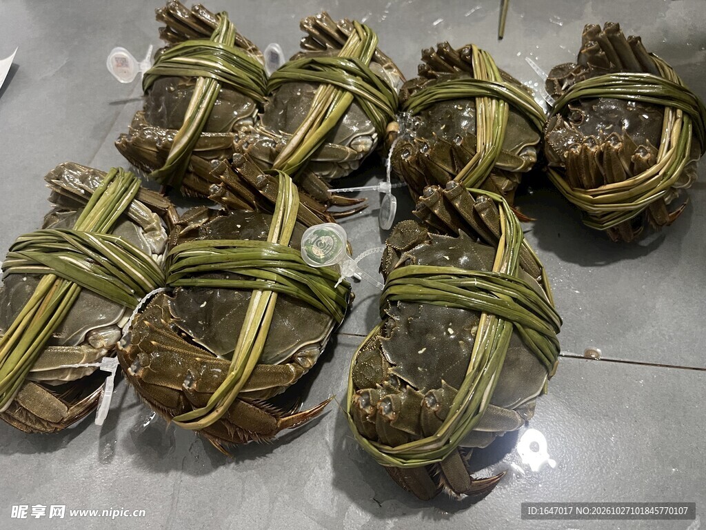 捆扎好的新鲜大闸蟹