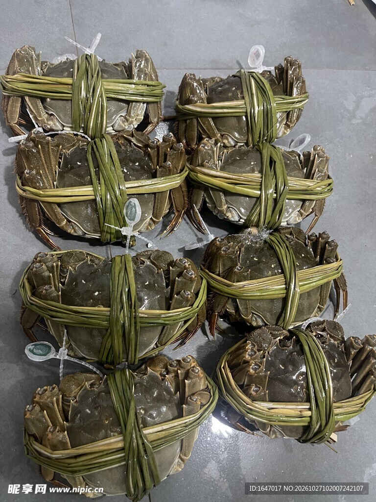 草绳捆扎新鲜大闸蟹