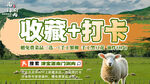 牧场铜锅涮肉打卡收藏