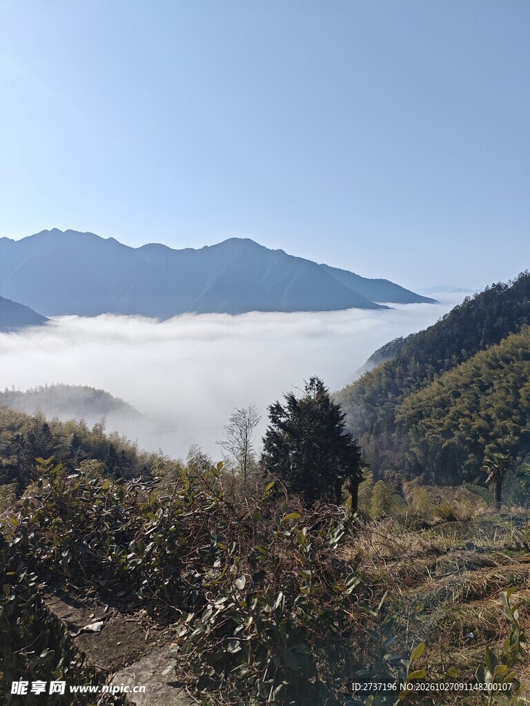 云海