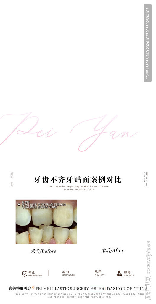 牙体牙髓解剖示意图