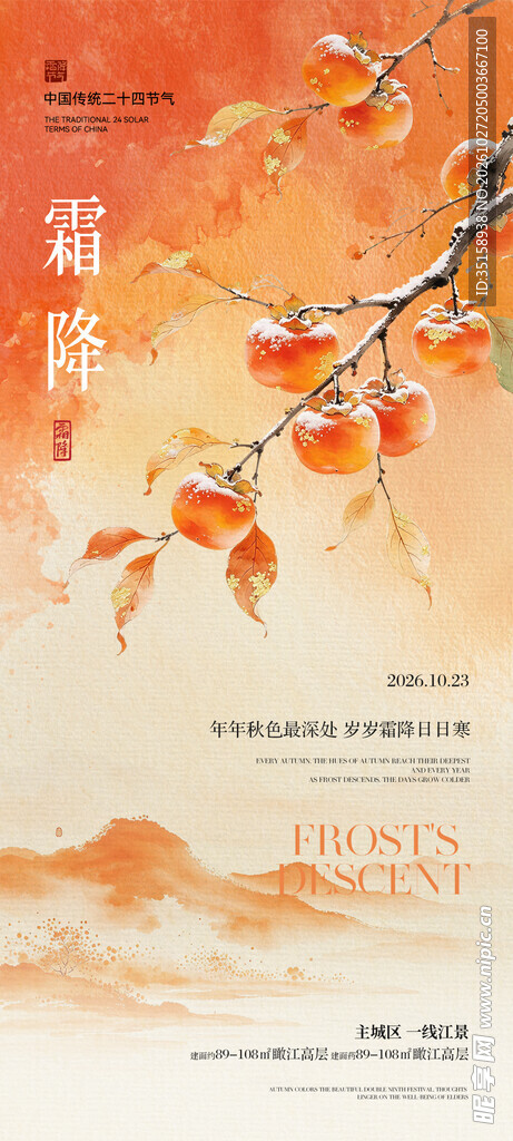霜降节气柿子海报
